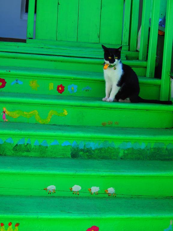 Green Stairs Guest House ティビリシ エクステリア 写真