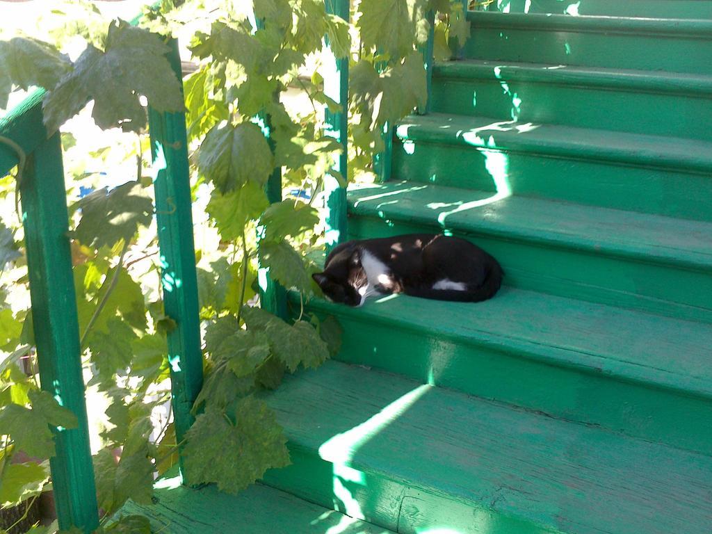 Green Stairs Guest House ティビリシ エクステリア 写真