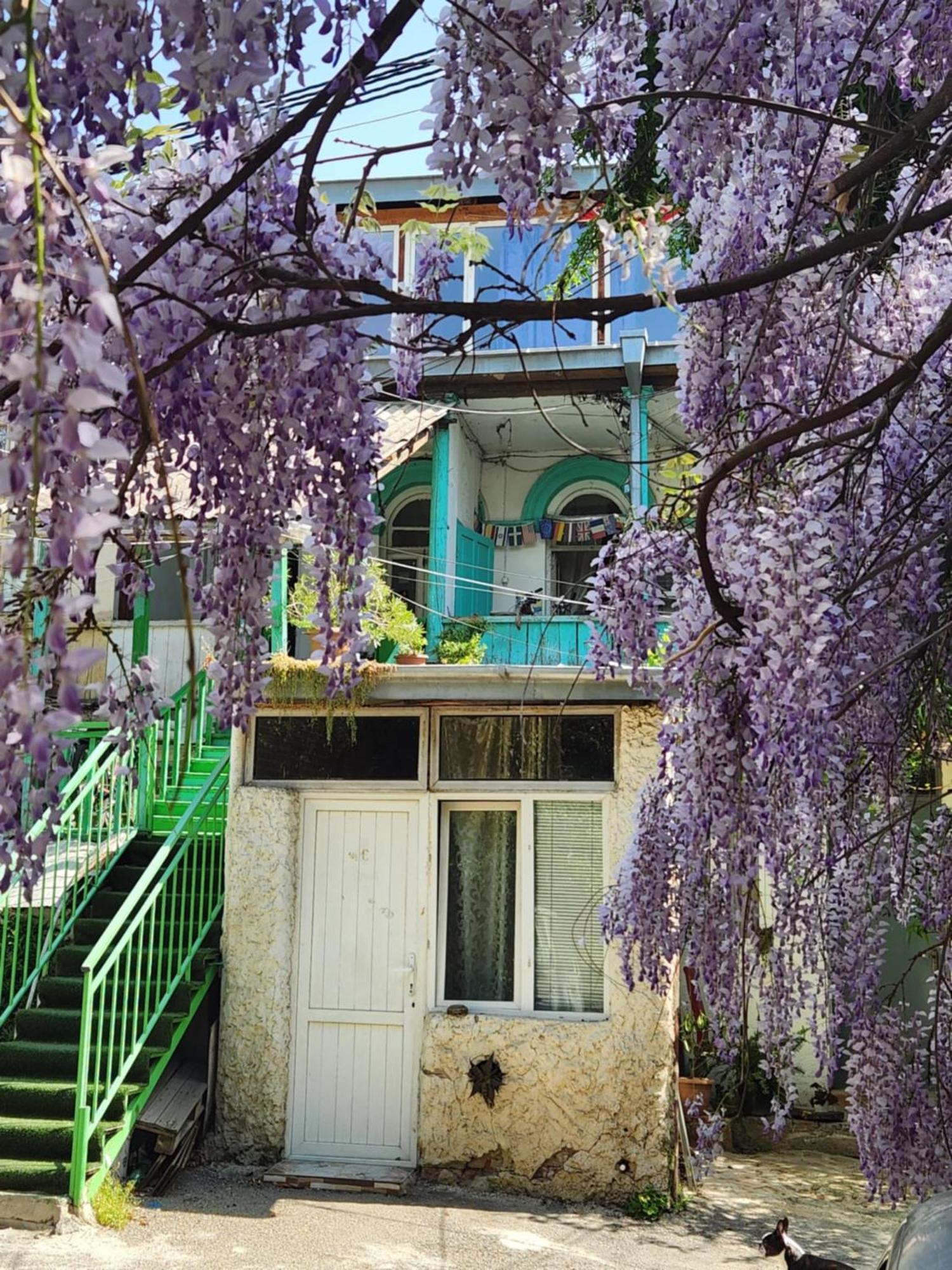 Green Stairs Guest House ティビリシ エクステリア 写真