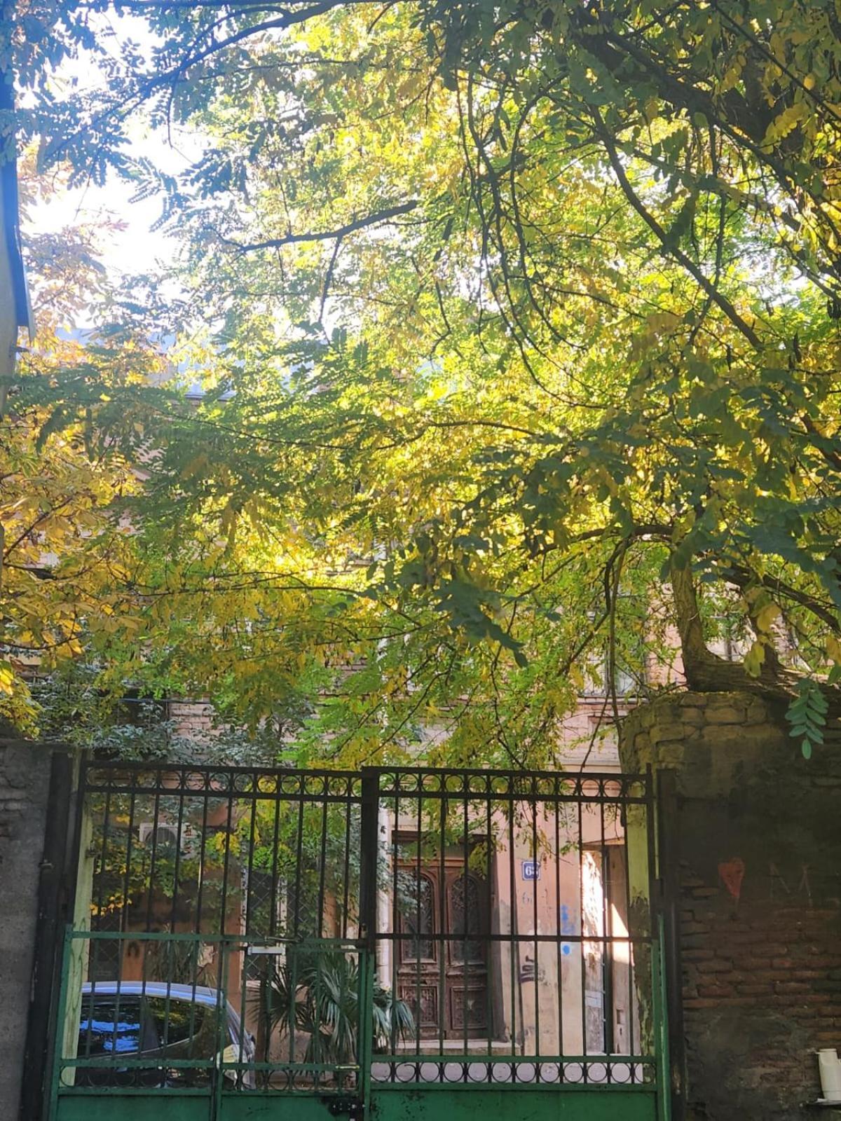 Green Stairs Guest House ティビリシ エクステリア 写真