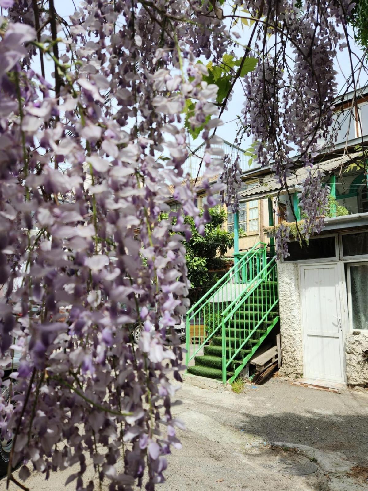 Green Stairs Guest House ティビリシ エクステリア 写真