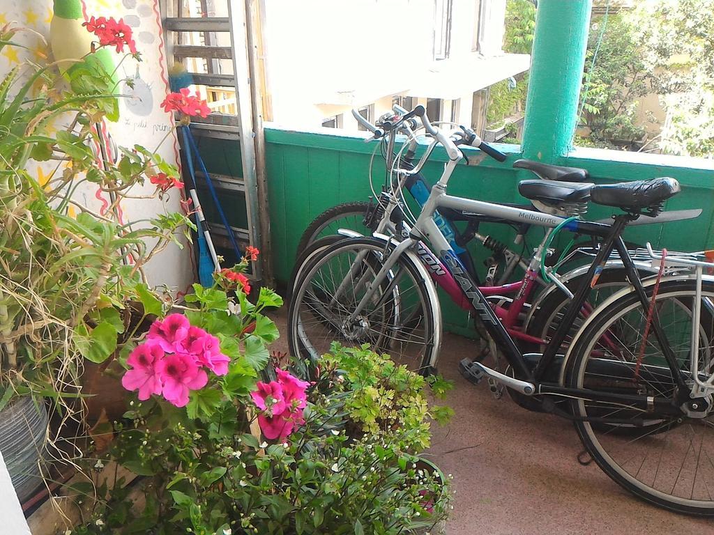 Green Stairs Guest House ティビリシ エクステリア 写真