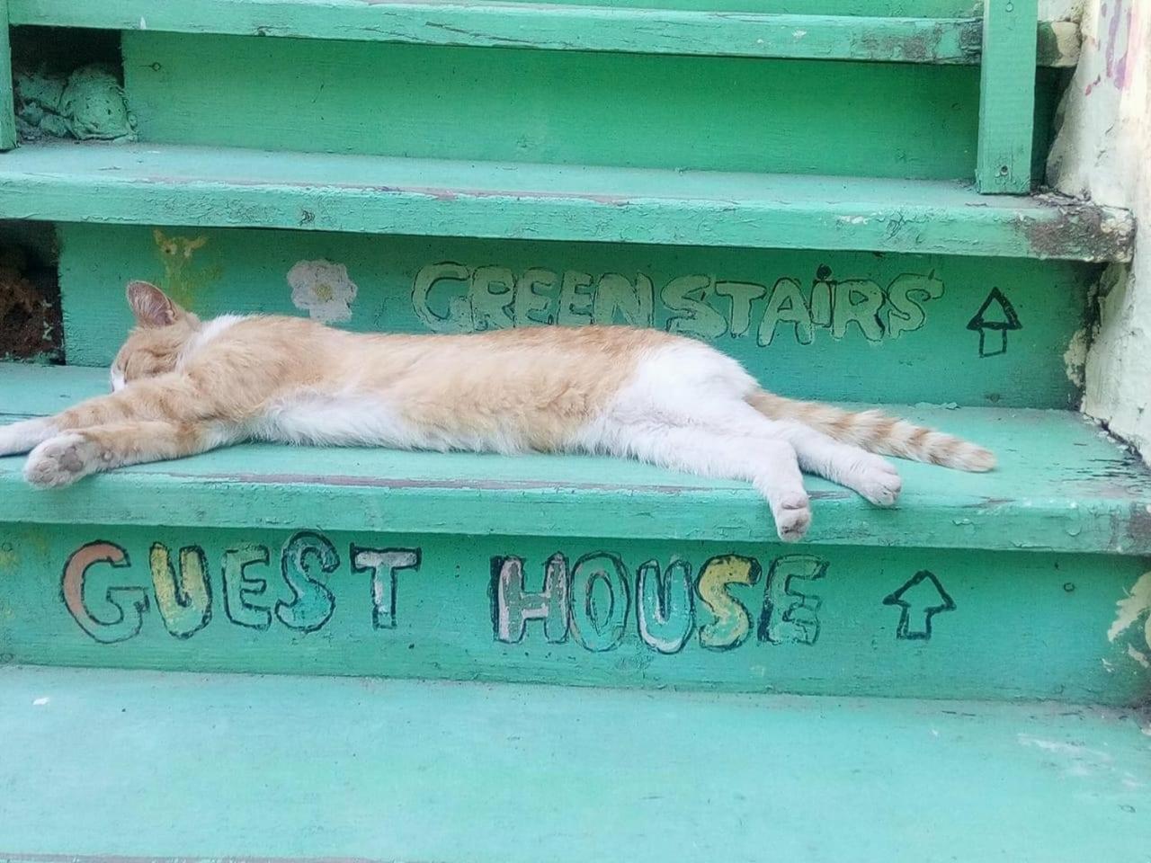 Green Stairs Guest House ティビリシ エクステリア 写真